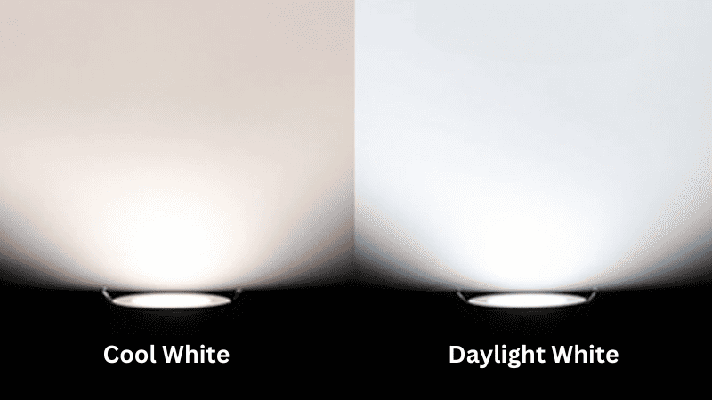  Cool White vs Daylight White