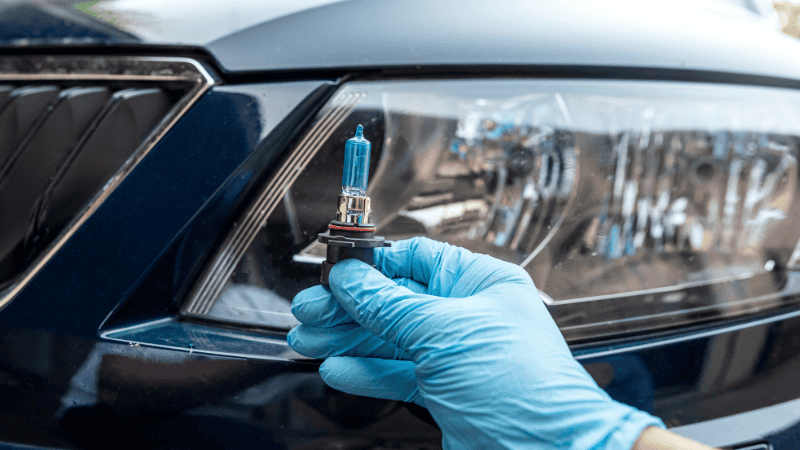 Halogen Headlights